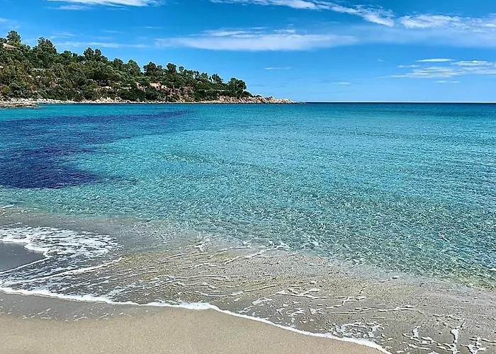 Fronte Park Àrbatax